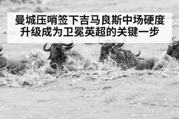 曼城压哨签下吉马良斯中场硬度升级成为卫冕英超的关键一步